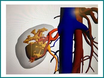 Top Best Urologist in Mumbai India